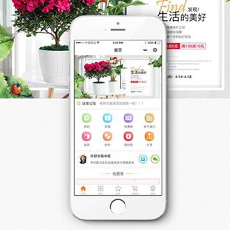 万山区门店微商城小程序开发