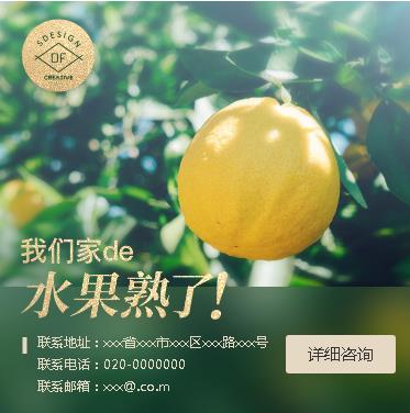 万山区果园果林小程序开发